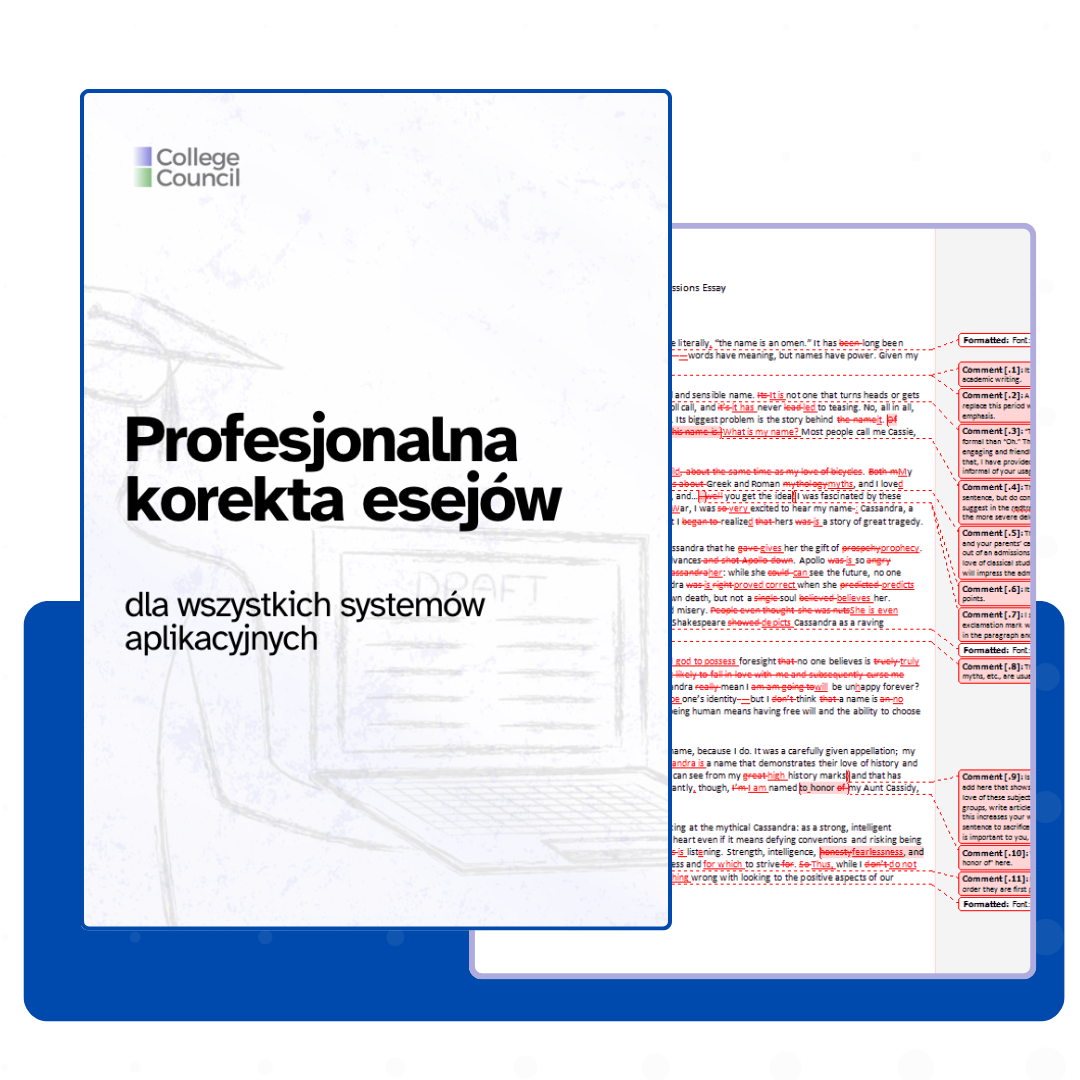 Professional Essay Correction Example